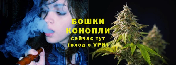 мдпв Усмань